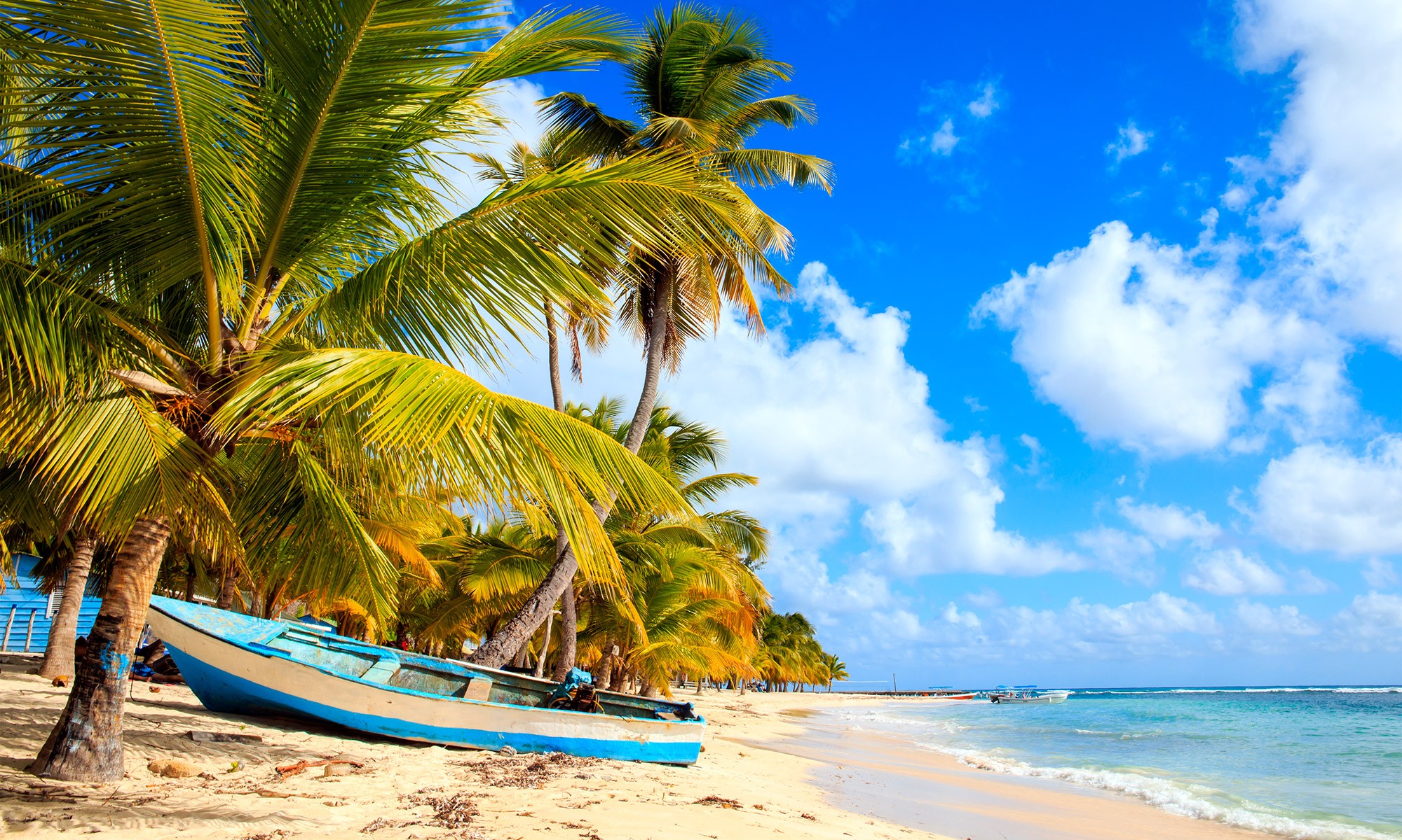 Partir en voyage en République dominicaine : nos 5 précieux conseils +  Meilleures Offres
