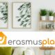 Erasmus Play : le comparateur de logement étudiant