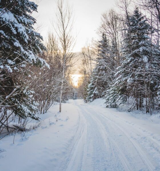 Point sur la réglementation et l’obligation des pneus hivers en Europe